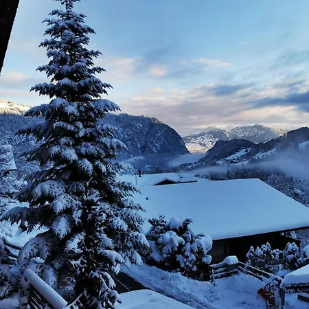 Cozy, Sunny Apartment, Interlaken Region * Diemtigen