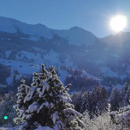 Appartement Cozy, Sunny Apartment, Interlaken Region *