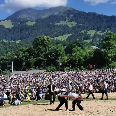 Cozy, Sunny Apartment, Interlaken Region *