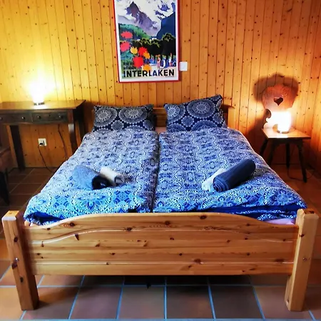 Cozy, Sunny Apartment, Interlaken Region *